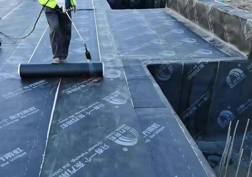 1753954056815.jpg