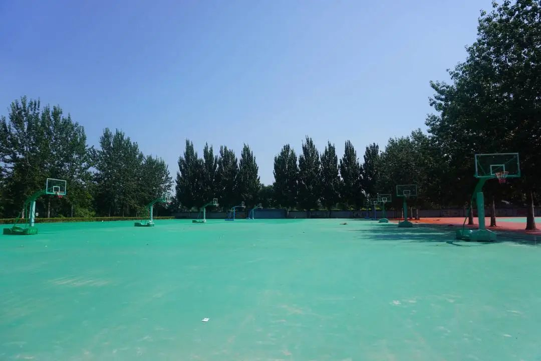 1754015414109.jpg